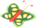 butterfly_green